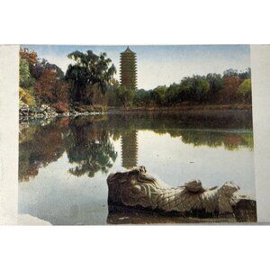 Stone Fish Reflection Pagoda in Mouth Postcard Japan China Vintage u